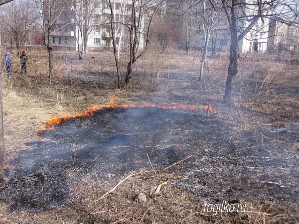 В связи с теплой сухой погодой в городе горит сухая трава