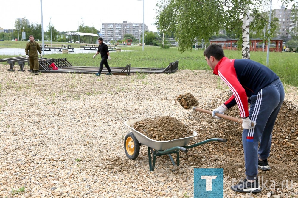 В парке "Народный" появится "Веревочный парк".