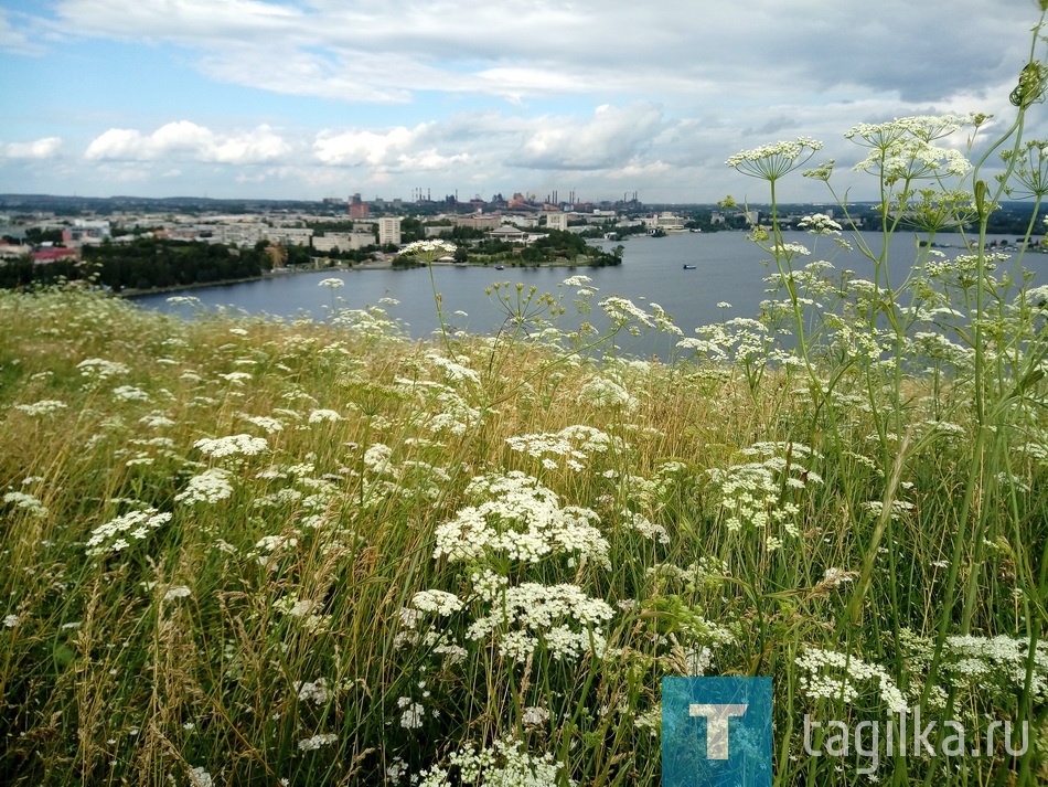 По городу с "мобилой". Летний фоторепортаж.