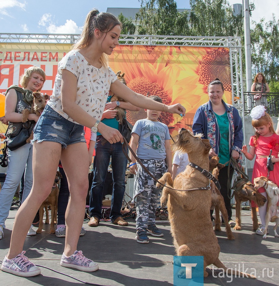 Фестиваль" Рыжий Тагил".