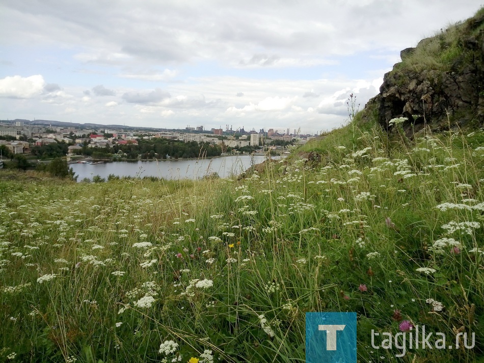 По городу с "мобилой". Летний фоторепортаж.