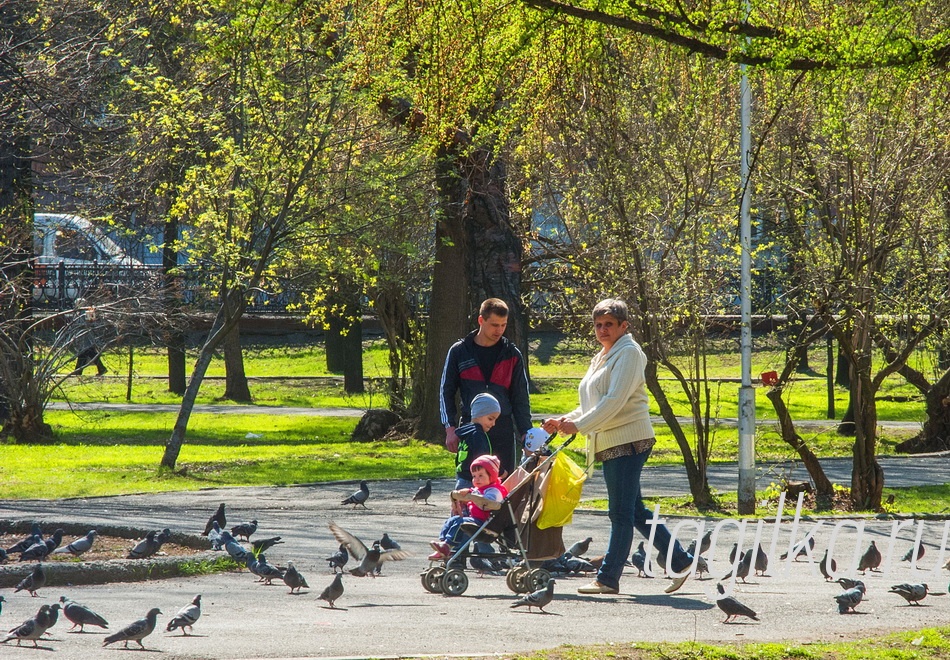 Весна пришла !