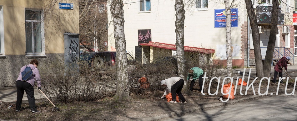 Ветераны вышли на субботник!