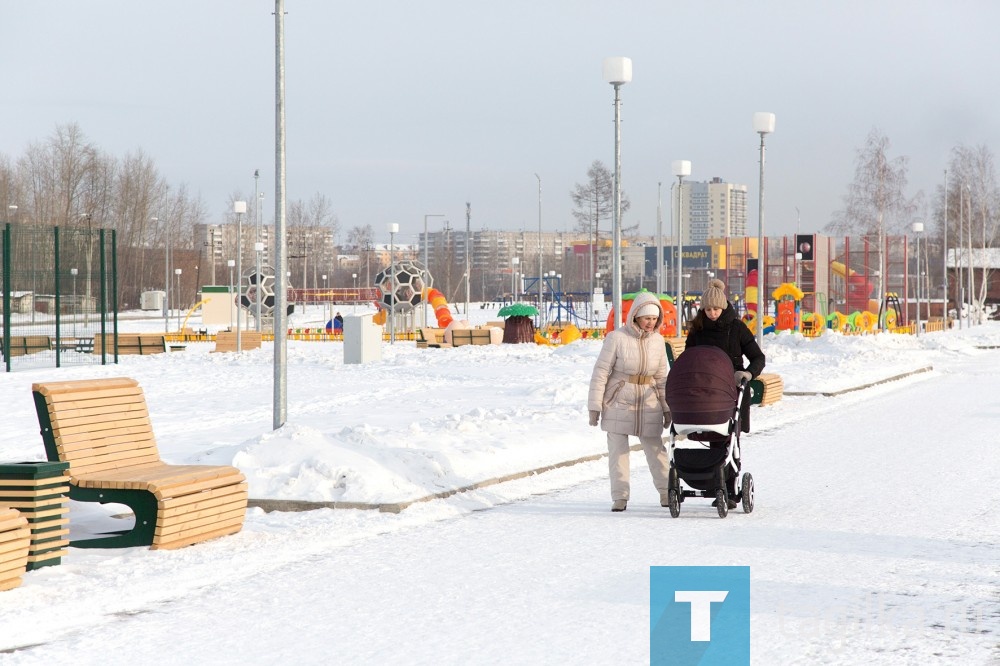 Парк Народный. 15.01.2019.