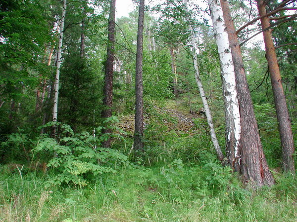 На Среднем Урале посещение лесов запрещено