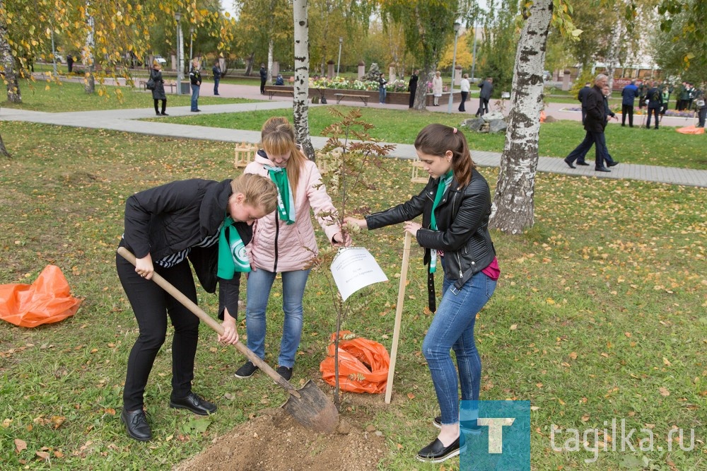 В Нижнем Тагиле высадили аллею победителей