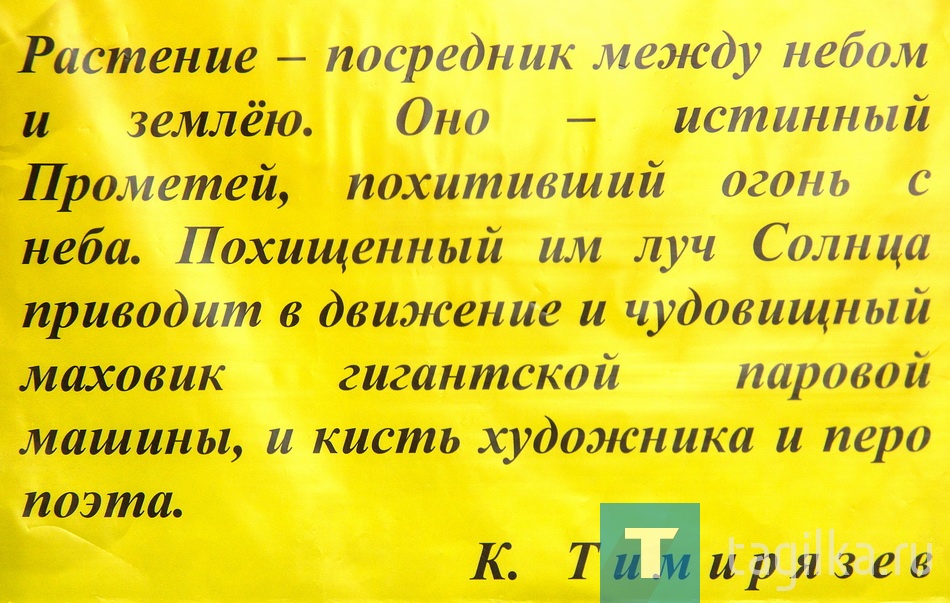 Станция юных натуралистов.Ботаника.Учеба. Эксперимент.