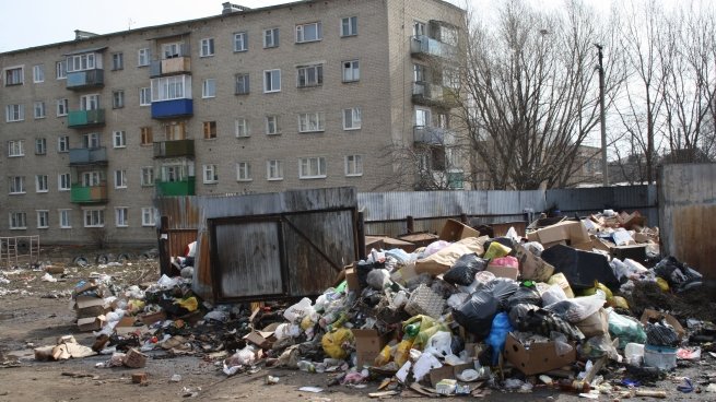 Свинство с чистоплюйством