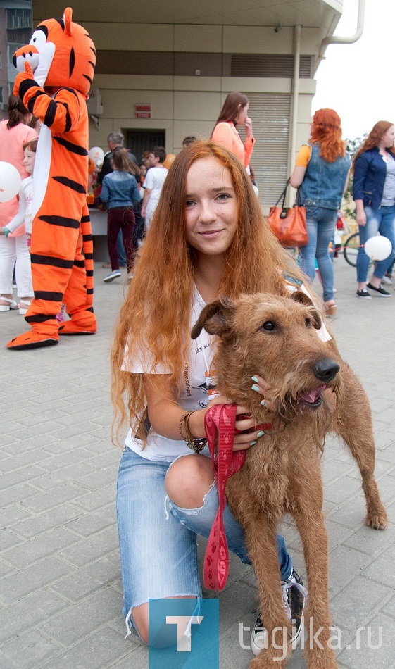 Парад рыжих.

Зимой и летом мы с Филом одним цветом-утверждает Лада.