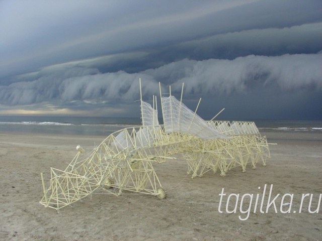 Развитие искусства: скульптуры Majestic Strandbeest оживают на пляже
