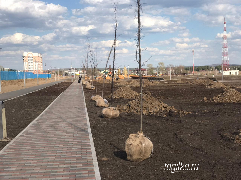 Более пяти тысяч жителей Нижнего Тагила уже приняли участие в онлайн-голосовании за благоустройство общественных территорий