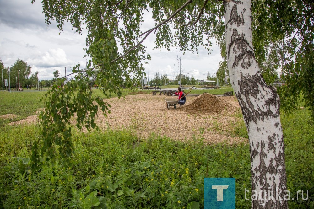 В парке "Народный" появится "Веревочный парк".