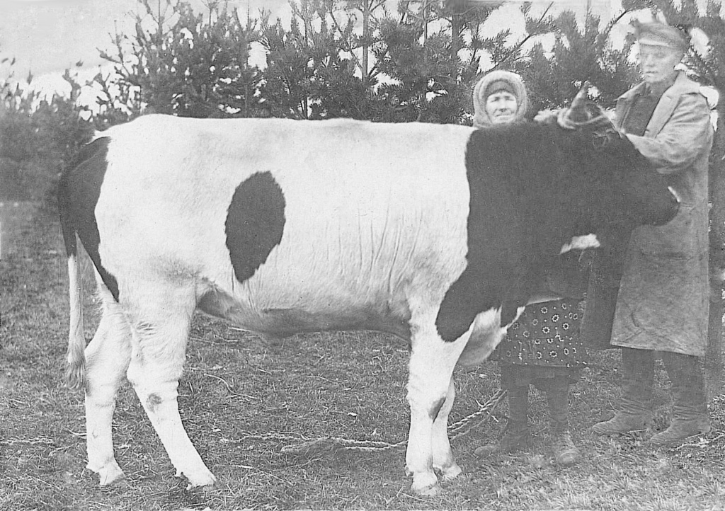 Пунтус Иван Антонович 1939 г.jpg