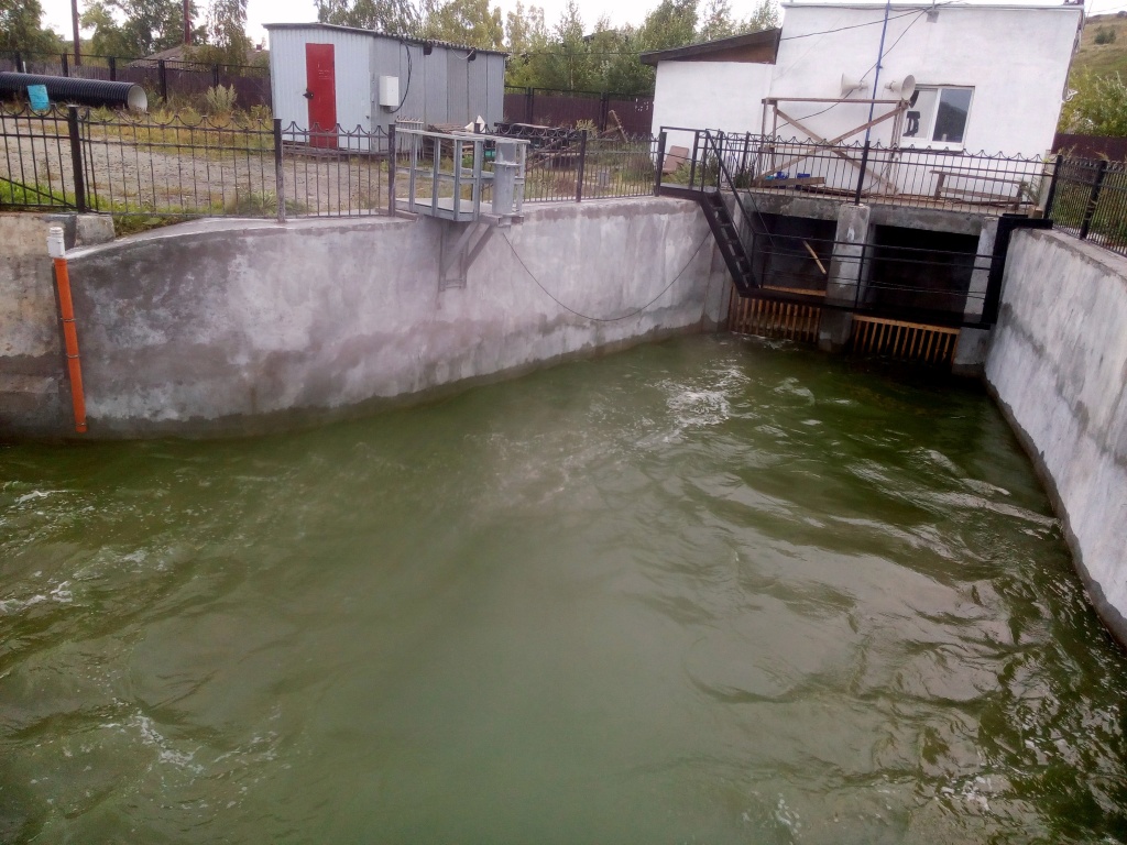 пруд после ливней позеленел.jpg