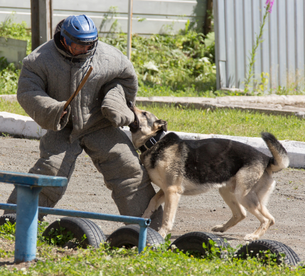 184х3.jpg 184х3.jpg