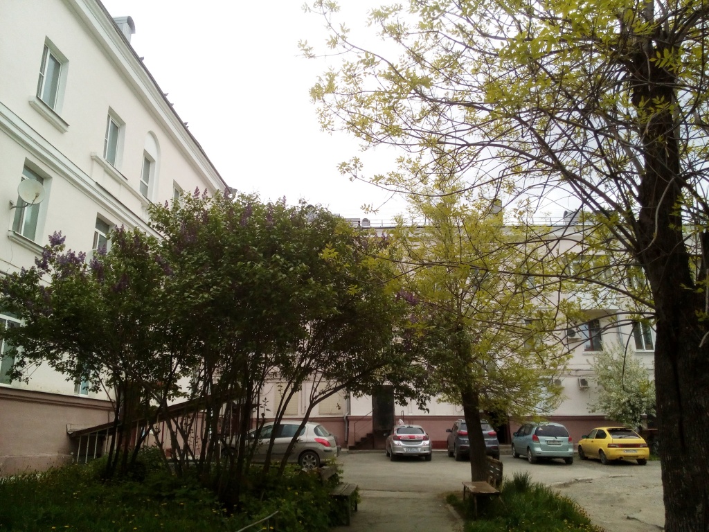 ЗЕЛЕНЫЙ ДВОР НА МАРКСА.jpg ЗЕЛЕНЫЙ ДВОР НА К МАРКСА.jpg