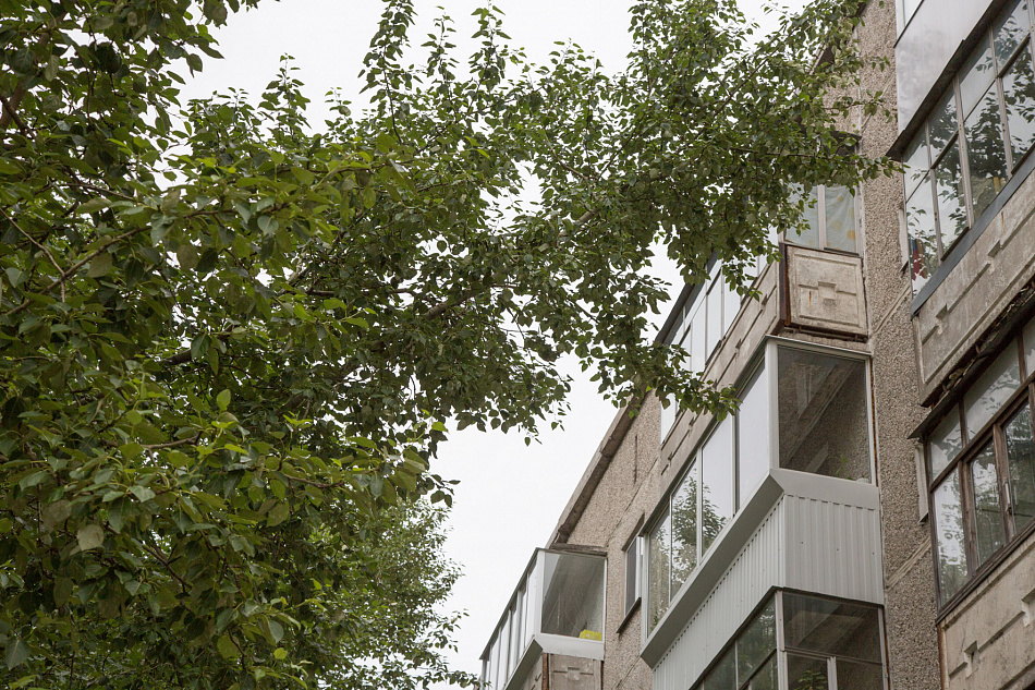 Бьются в окна тополя