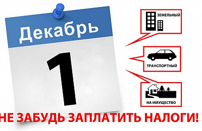 Оплатить  налоги за 2019-й нужно не позднее 1 декабря 2020 года