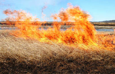 В Нижнем Тагиле в апреле произошло 172 пожара