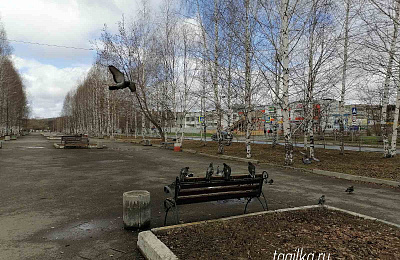 Парк Победы в Нижнем Тагиле благоустроят