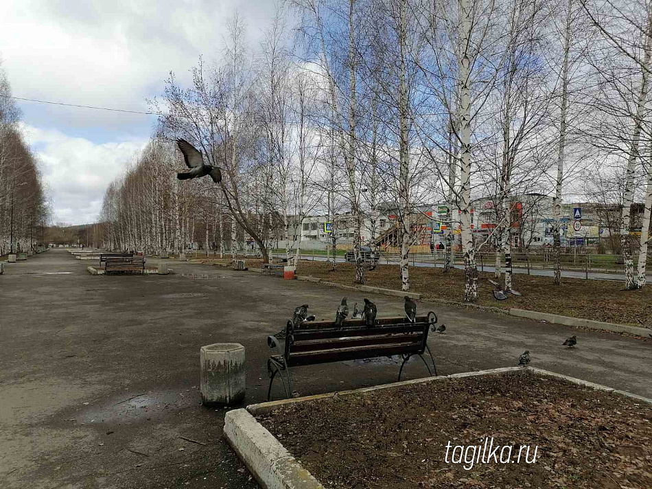 Парк Победы в Нижнем Тагиле благоустроят