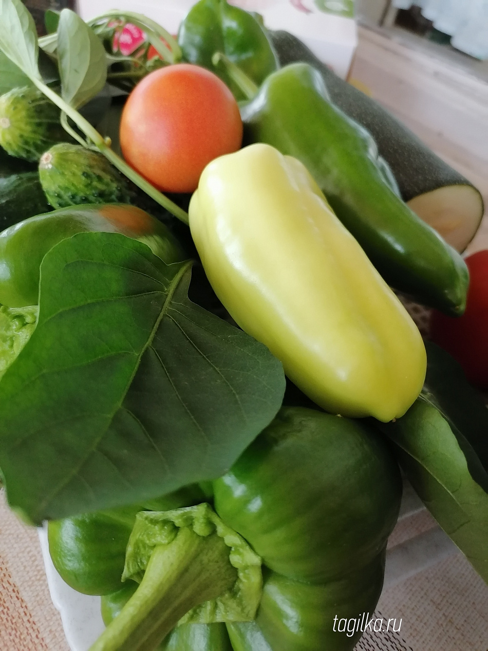 Роспотребнадзор: рекомендации по выбору фруктов и овощей в летний период