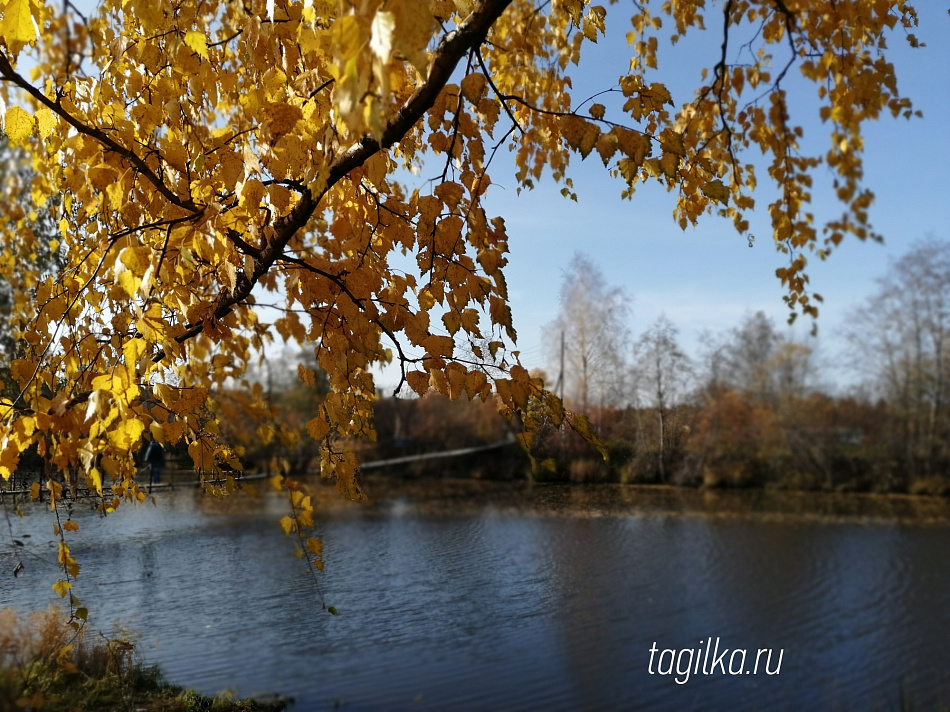 Во вторник в Нижнем Тагиле начнется похолодание. Ожидается снег