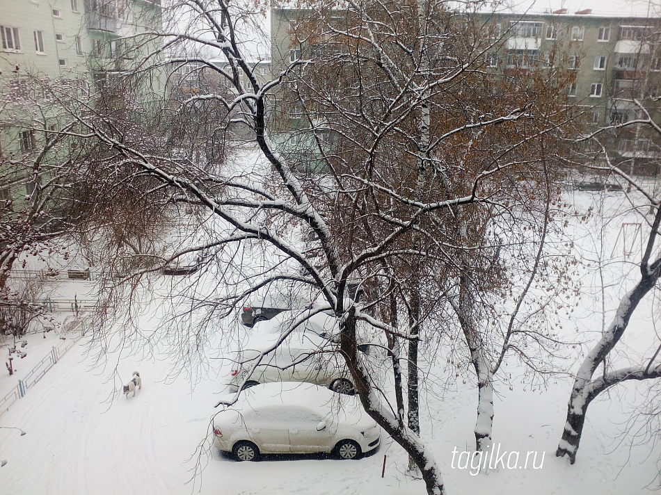 Нижний Тагил засыпало снегом