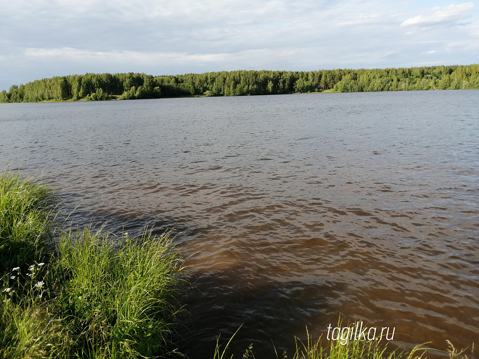 Лодка с пятью подростками перевернулась на Нижнетагильскому пруду  