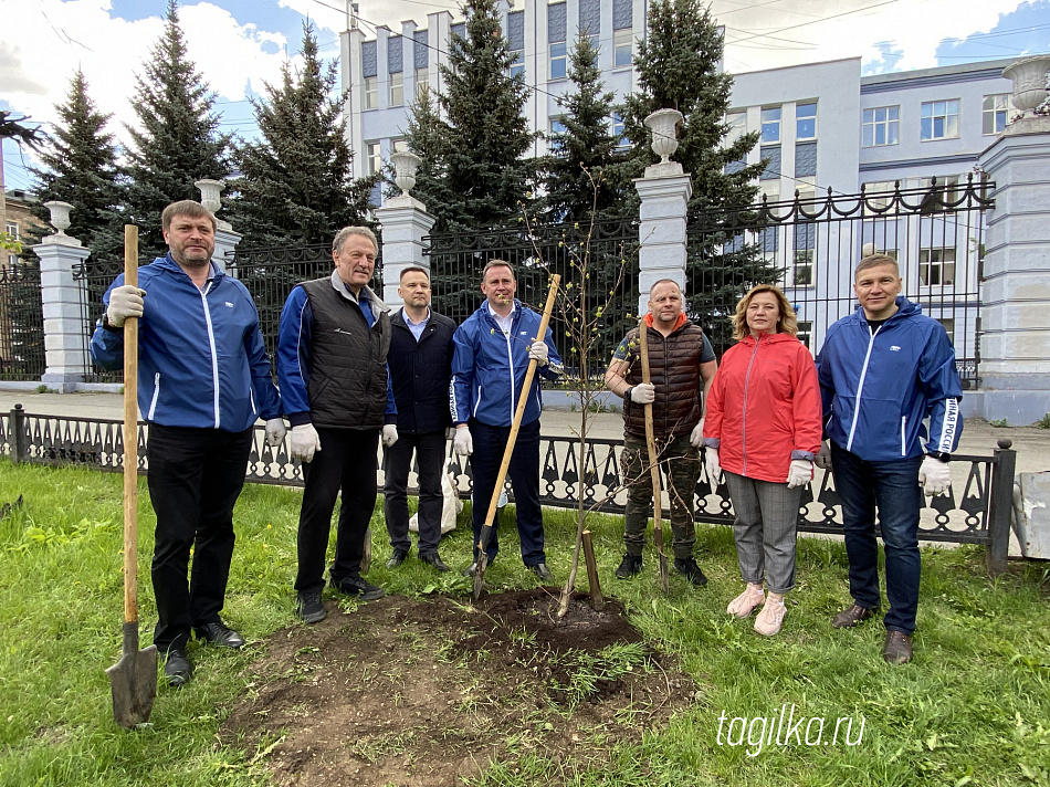 В Нижнем Тагиле на проспекте Ленина высадили 70 яблонь, лип и берез