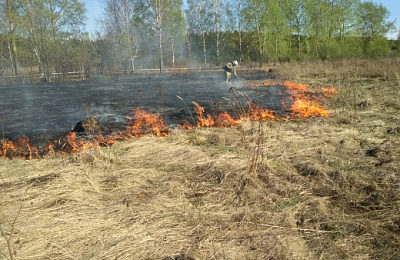 В Нижнем Тагиле и Пригороде существует угроза лесных пожаров из-за поджогов сухой травы  

 