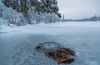 Полиция Нижнего Тагила разыскивает пенсионеров, отправившихся на рыбалку