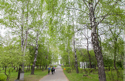 Началась реконструкция сквера «Пионерский»