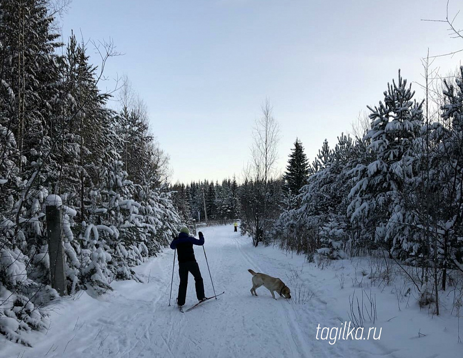 Жители Нижнего Тагила активно проводят выходные