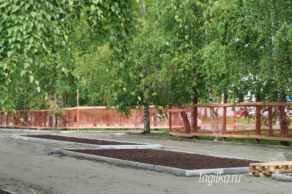 В парке Победы начали укладывать плитку