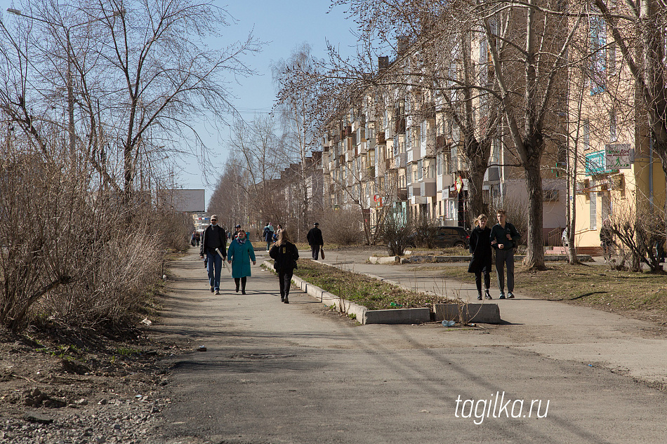 Голосуем за Ленинградский проспект. Выбираем лучший вариант