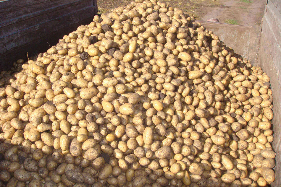 На Среднем Урале подвели итоги уборочной кампании