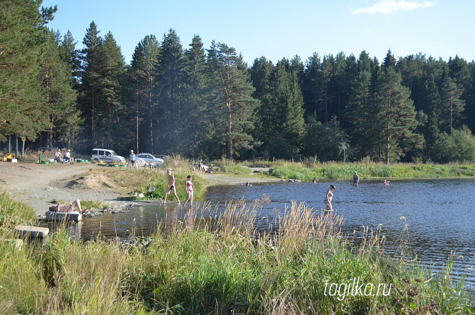 На Муринских прудах – потенциальная угроза 
