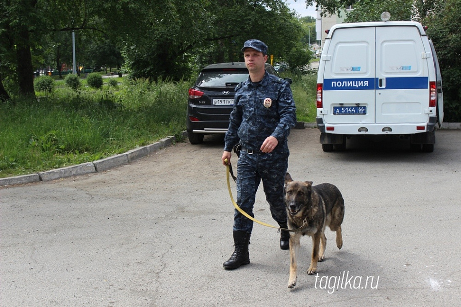 В Нижнем Тагиле по горячим следам задержали укравшего деньги из кассы магазина