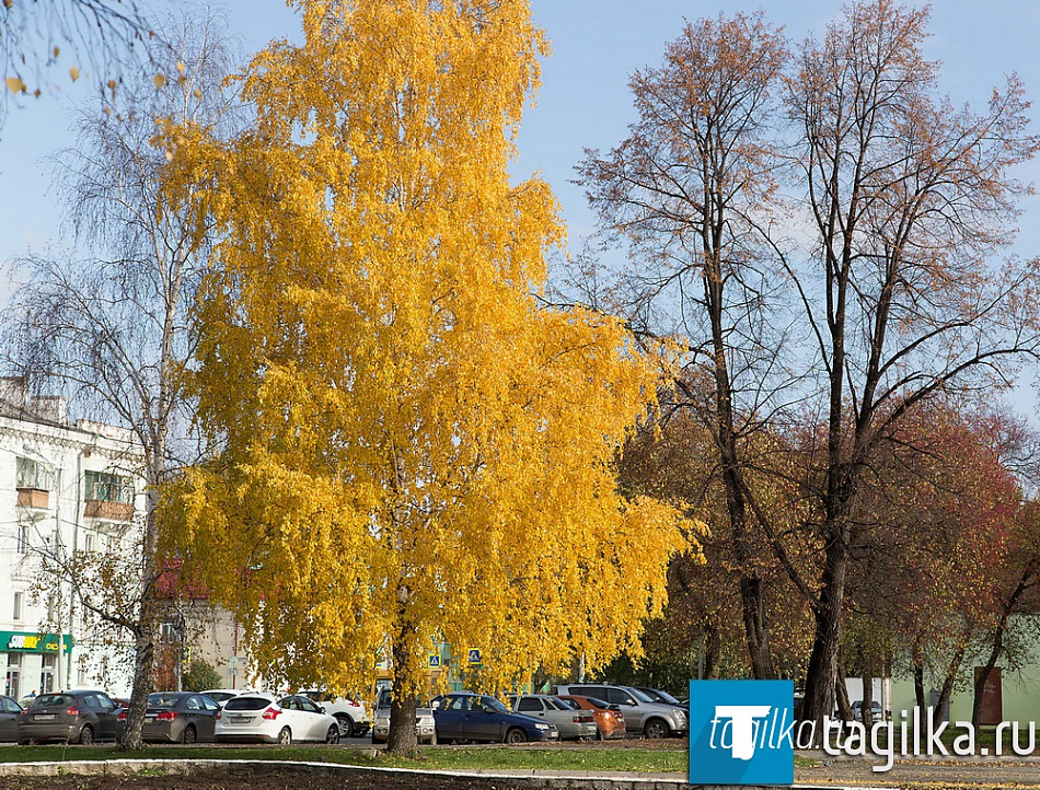 Сегодня самый теплый день  первой недели ноября 