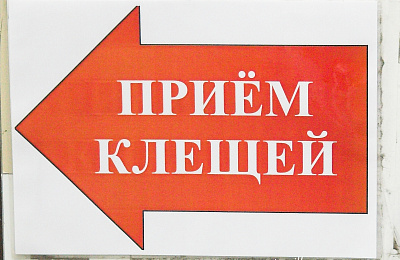 В Свердловской области заработала горячая линия по клещам