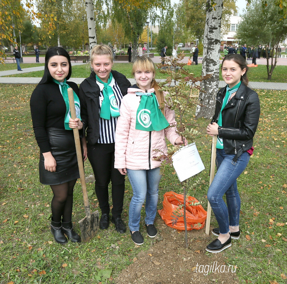 В Нижнем Тагиле высадили аллею победителей