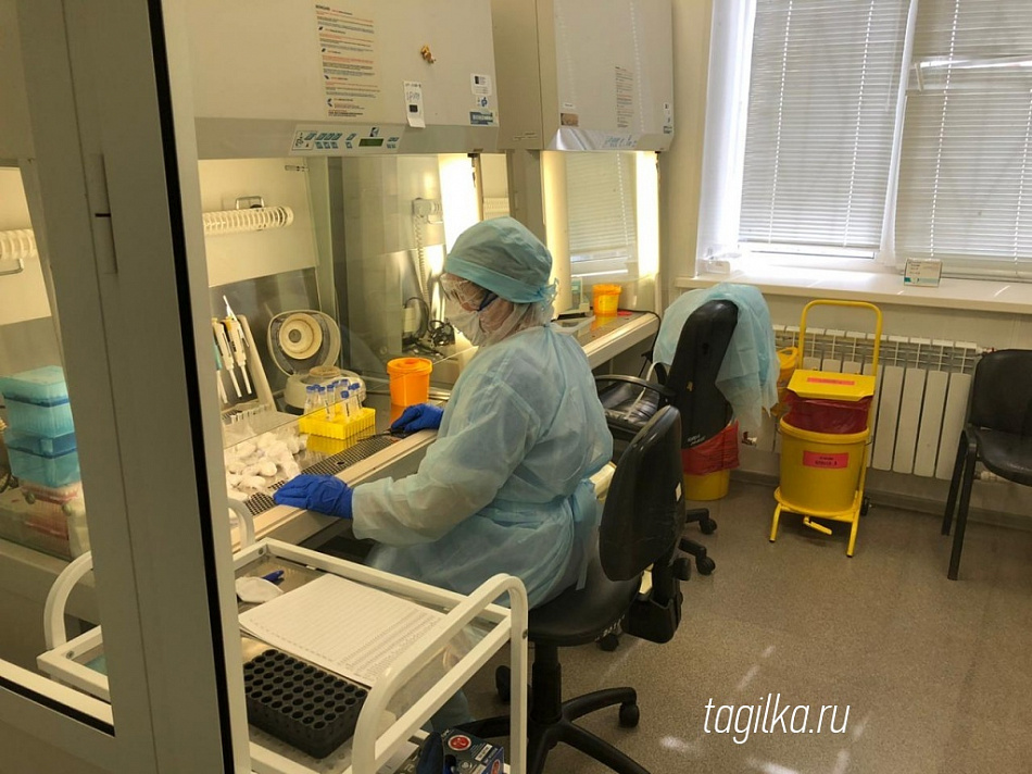 Десять новых случаев коронавируса зарегистрировано в Свердловской области