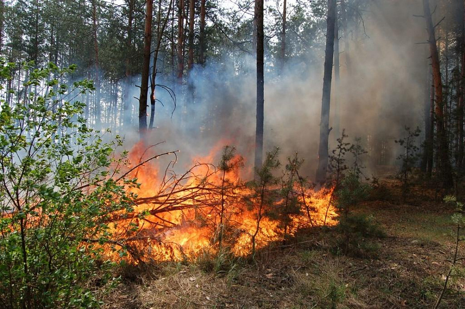 В трех районах Свердловской области введен режим ЧС