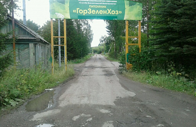 Работу одной из теплиц бывшего питомника «Горзеленхоз» планируется восстановить к концу года