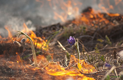73-летний пенсионер получил ожоги при попытке сжечь траву у дома