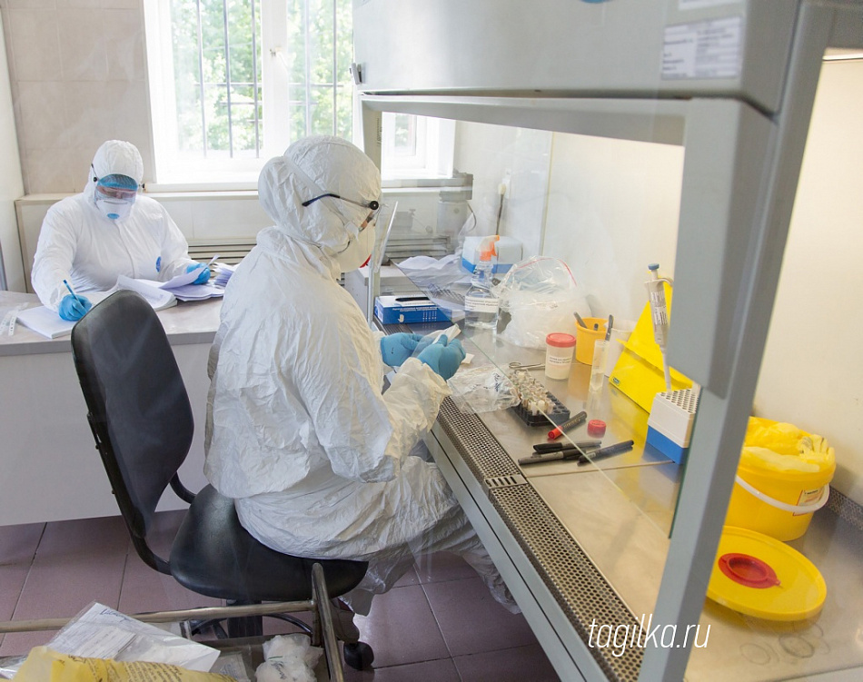 В Свердловской области впервые с января менее тысячи заболевших коронавирусом за сутки