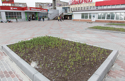 В Нижнем Тагиле стартовало голосование по выбору объектов благоустройства на 2022 год