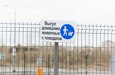 В Нижнем Тагиле запрещен выгул собак у школ и больниц