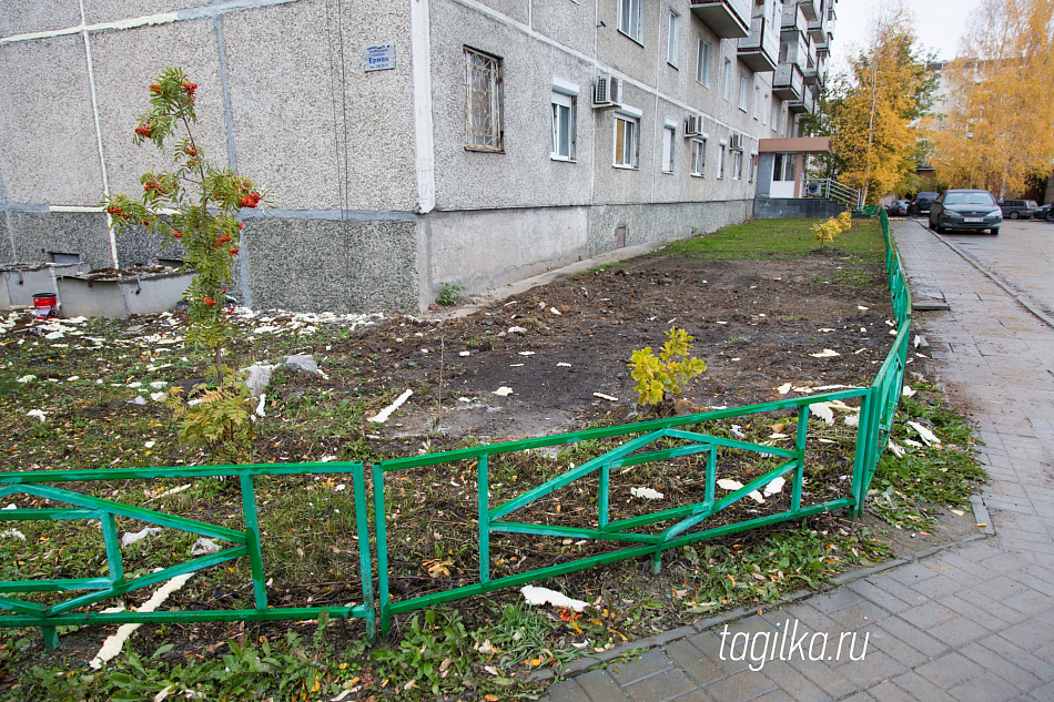 Место раскопок привели в порядок